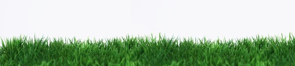Grass Banner — Stock Photo, Image