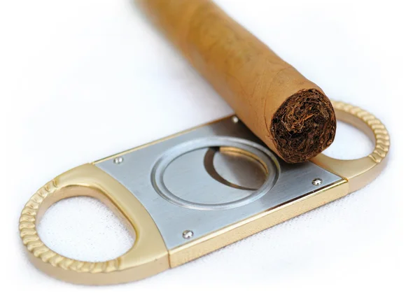 Cigar and cigar scissors is very close — Stock Photo, Image