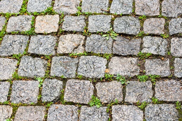 Pavimentazioni in pietra di ciottolo — Foto Stock
