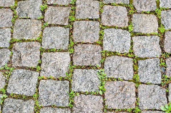 Pavimentazioni in pietra di ciottolo — Foto Stock