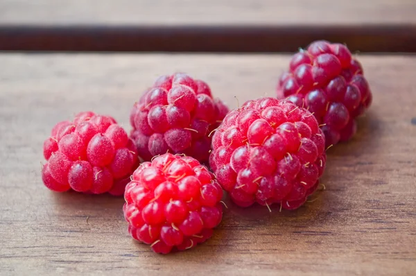 五山莓 — 图库照片