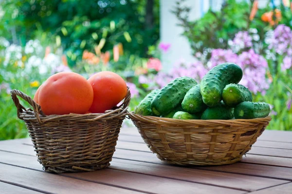 Straw basket full of tomatoes — Stock Photo, Image