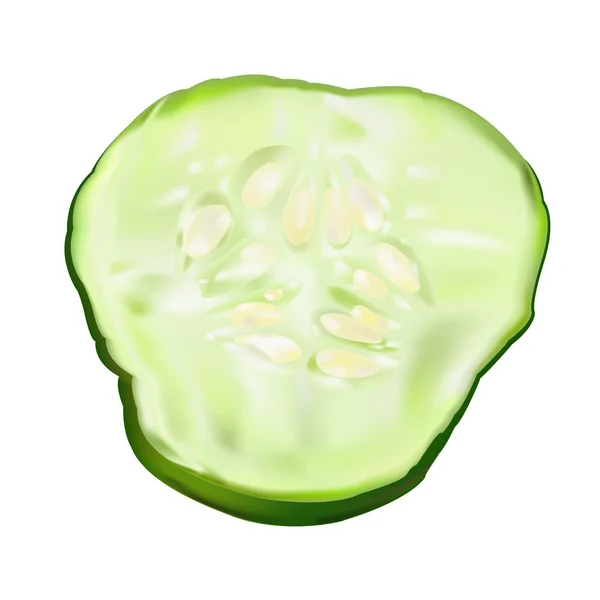 Segment of a juicy green cucumber — Stock Photo, Image