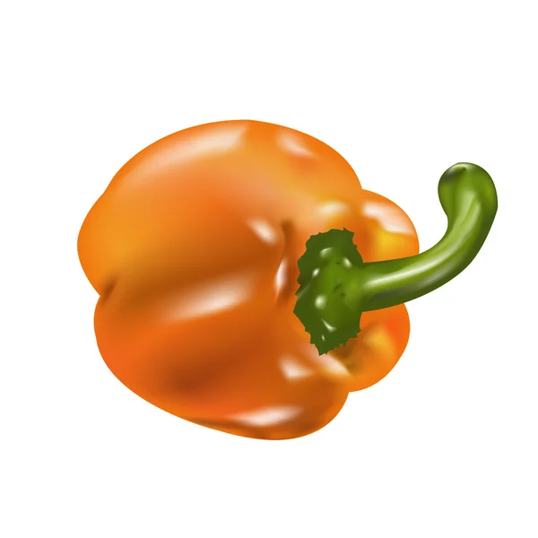 Sladká paprika — Stockový vektor