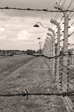 Auschwitz-birkenau toplama kampı.