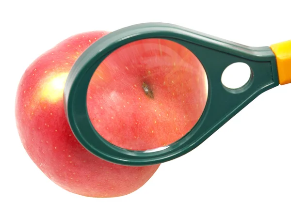 Worm-gegeten appel onder vergrootglas. — Stockfoto