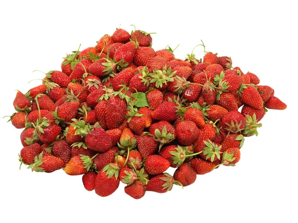 Tas de fraises fraîches . — Photo
