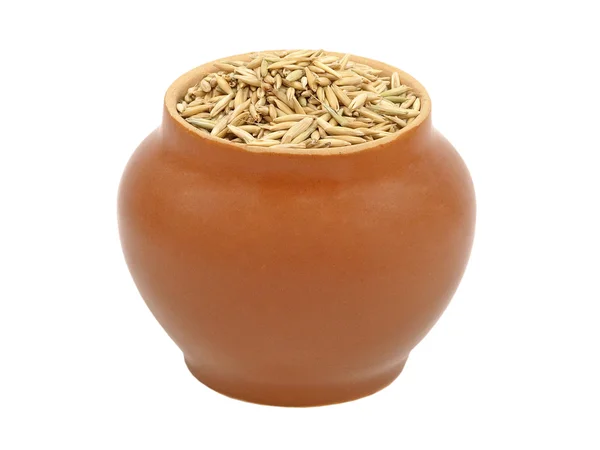 Pot d'argile avec grain d'avoine . — Photo