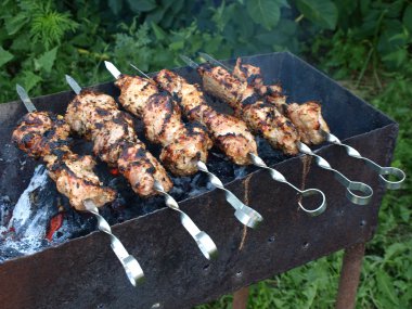 iştah açıcı kebab.