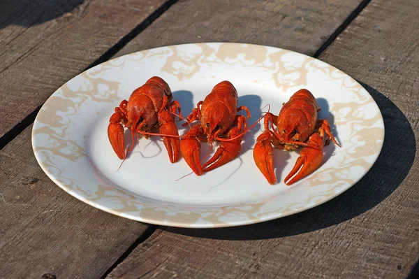 Três lagostins cozidos vermelhos . — Fotografia de Stock