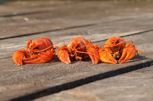 Three red boiled crawfish on a boards. — Stock Photo, Image
