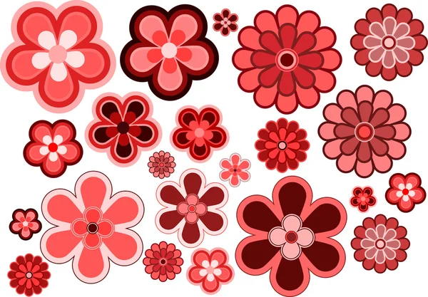 Mnoho různých velikostí a tvarů květin — Stock fotografie