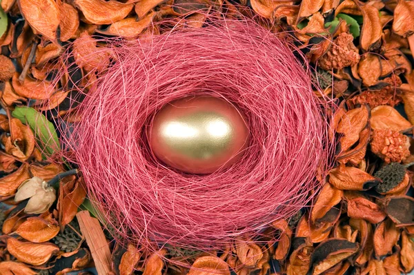 イースターの休日のための黄金の卵 — ストック写真