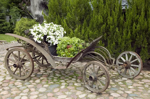 Gamla trä vagn fylld med blommor — Stockfoto