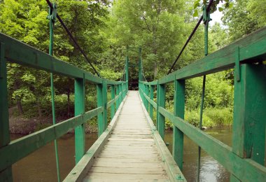 Green monkey bridge in the forest clipart