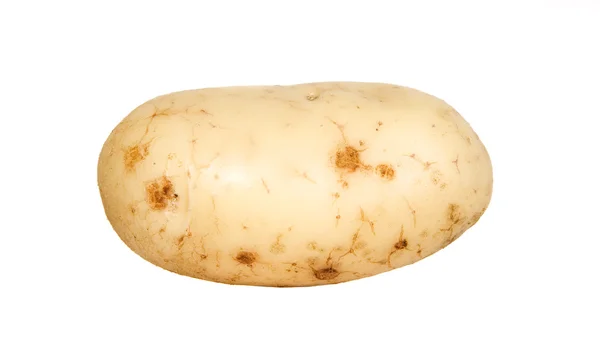 Brown fresh potato, food concept — Stock Photo, Image
