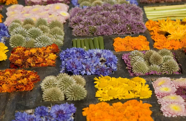 Konsistens av många olika blommor i block — Stockfoto