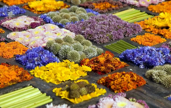 Konsistens av många olika blommor i block — Stockfoto