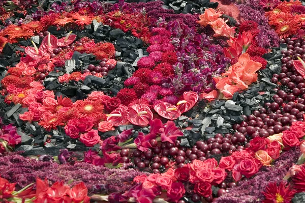 Nice swirl is made from red flowers — Stock Photo, Image