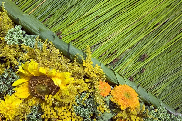 Frame gemaakt uit planten en bloemen — Stockfoto