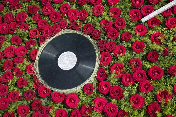 Ретро пластинка с цветочным фоном — стоковое фото