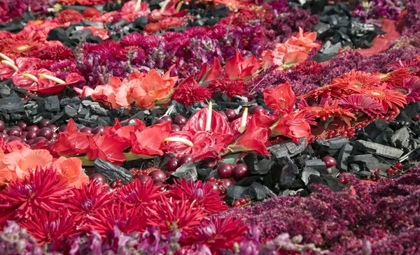 Ωραίο στροβιλισμού είναι φτιαγμένο από κόκκινα λουλούδια — Φωτογραφία Αρχείου