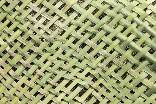 緑の植物から作られたテクスチャ — ストック写真