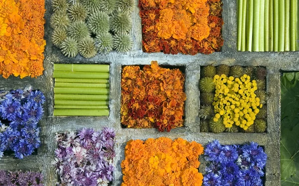 Texture of many different flowers in blocks — Stock Photo, Image