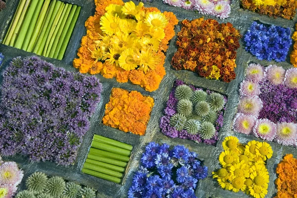 Texture of many different flowers in blocks — Stock Photo, Image