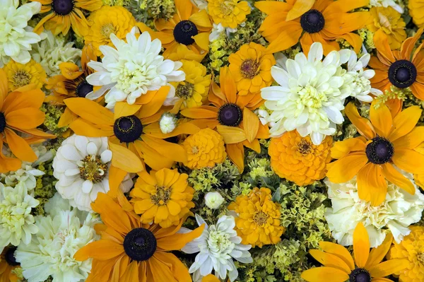 Υφή του όμορφα λευκά και πορτοκαλί λουλούδια — Φωτογραφία Αρχείου