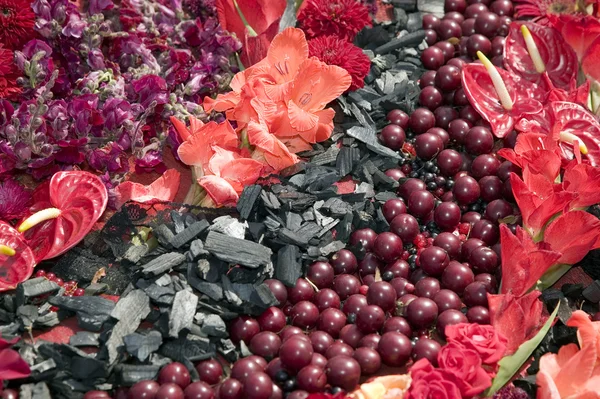 Színes növények és gyönyörű virágok — Stock Fotó