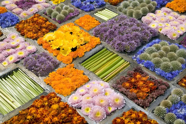 Textur aus vielen verschiedenen Blüten in Blöcken — Stockfoto