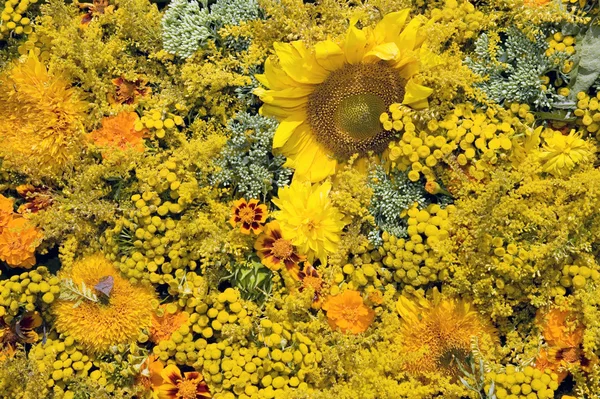 Texture of beautiful yellow and orange flowers — Stock Photo, Image