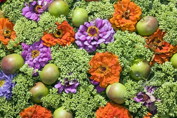 Textura feita de plantas verdes — Fotografia de Stock