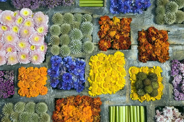 Textuur van vele verschillende bloemen in blokken — Stockfoto