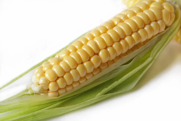 Maïs op een witte achtergrond Stockfoto