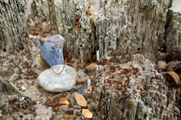 Gamla väderbitna beach post — Stockfoto