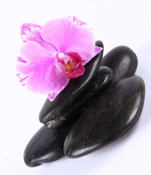 Spa stenar och orkidé — Stockfoto