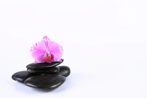 Spa stenen en orchid — Stockfoto