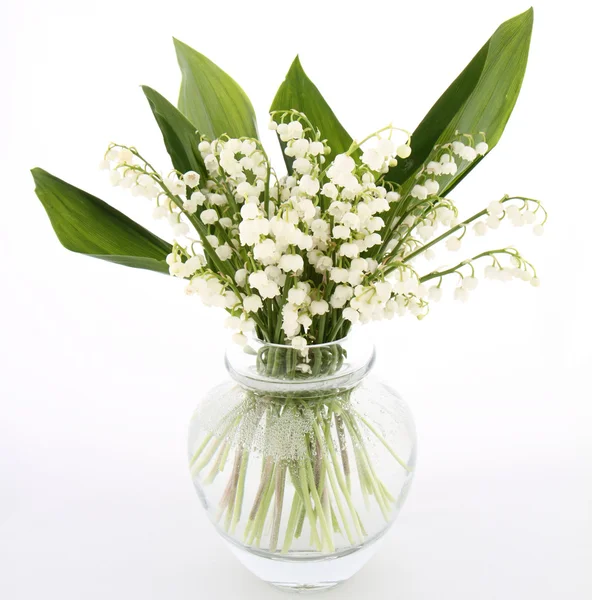 stock image Lily of the valley