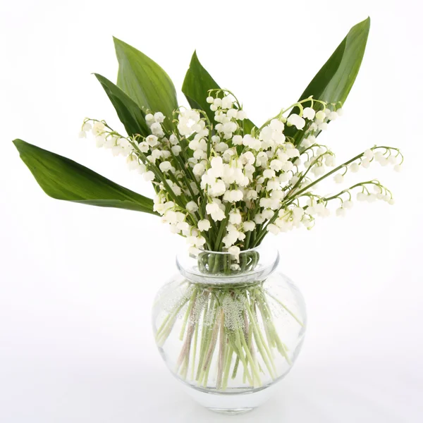 stock image Lily of the valley