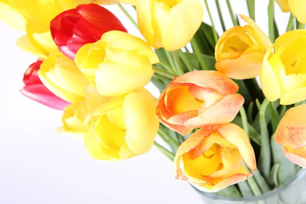 stock image Tulips