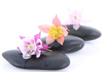 spa taşları ve çiçekler