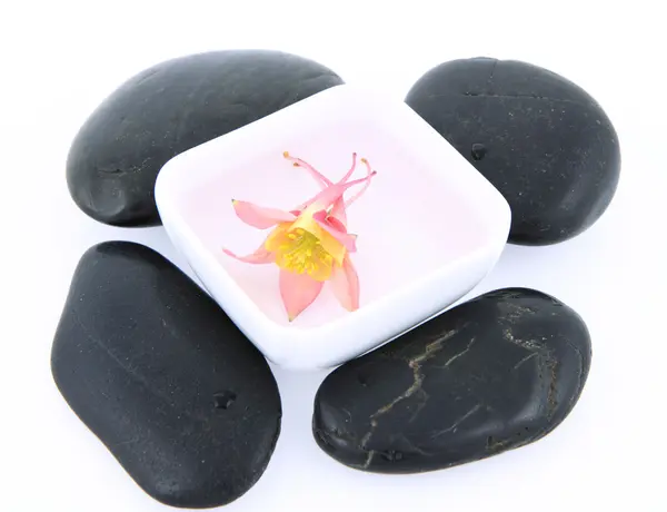 Pedras de spa e uma flor — Fotografia de Stock