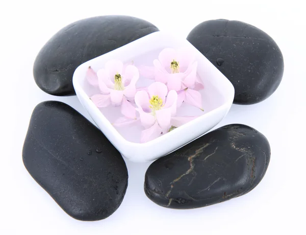 Spa kamienie i kwiaty pływające — Zdjęcie stockowe