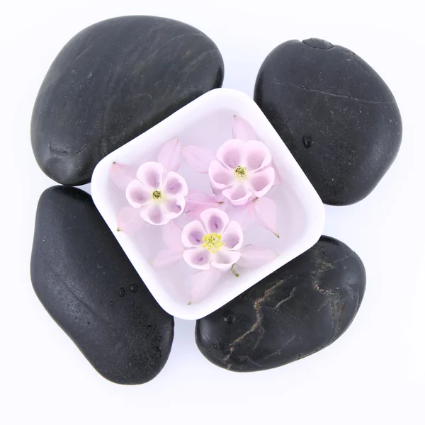 Spa kövek és úszó virágok — Stock Fotó