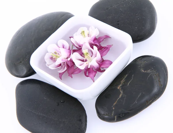 Piedras de spa y flores flotantes — Foto de Stock