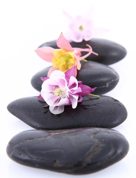 Lázeňské kameny a květiny — Stock fotografie