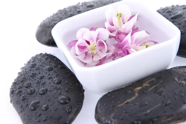 Wellness kameny a plovoucí květy — Stock fotografie