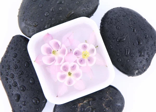 Spa stenen en drijvende bloemen — Stockfoto